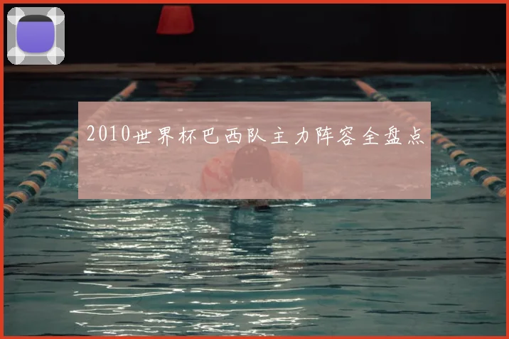 2010世界杯巴西队主力阵容全盘点
